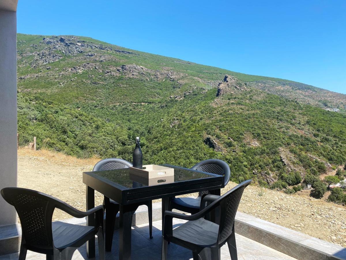 U Cavallu - Luxe Entre Mer Et Montagne Santa-Maria-di-Lota 外观 照片
